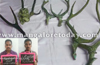 Moodbidri : Trio arrested for illegally transporting antlers